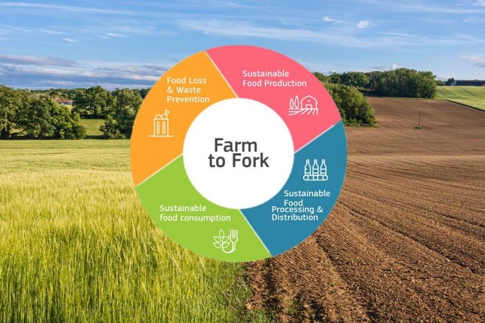 Food Supply Chain