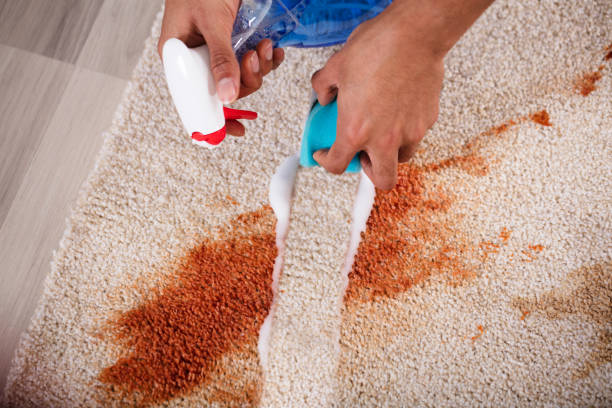 carpet cleaning Toledo